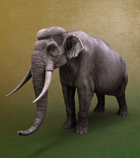 Muscular headband or sexual display? A practice-oriented case-study for producing scientifically informed palaeoart of Palaeoloxodon namadicus sinhaleyus