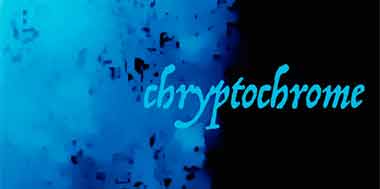 chrptochrome